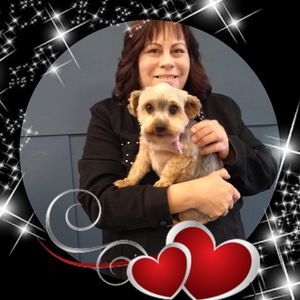 Meet your Posher, Roberta